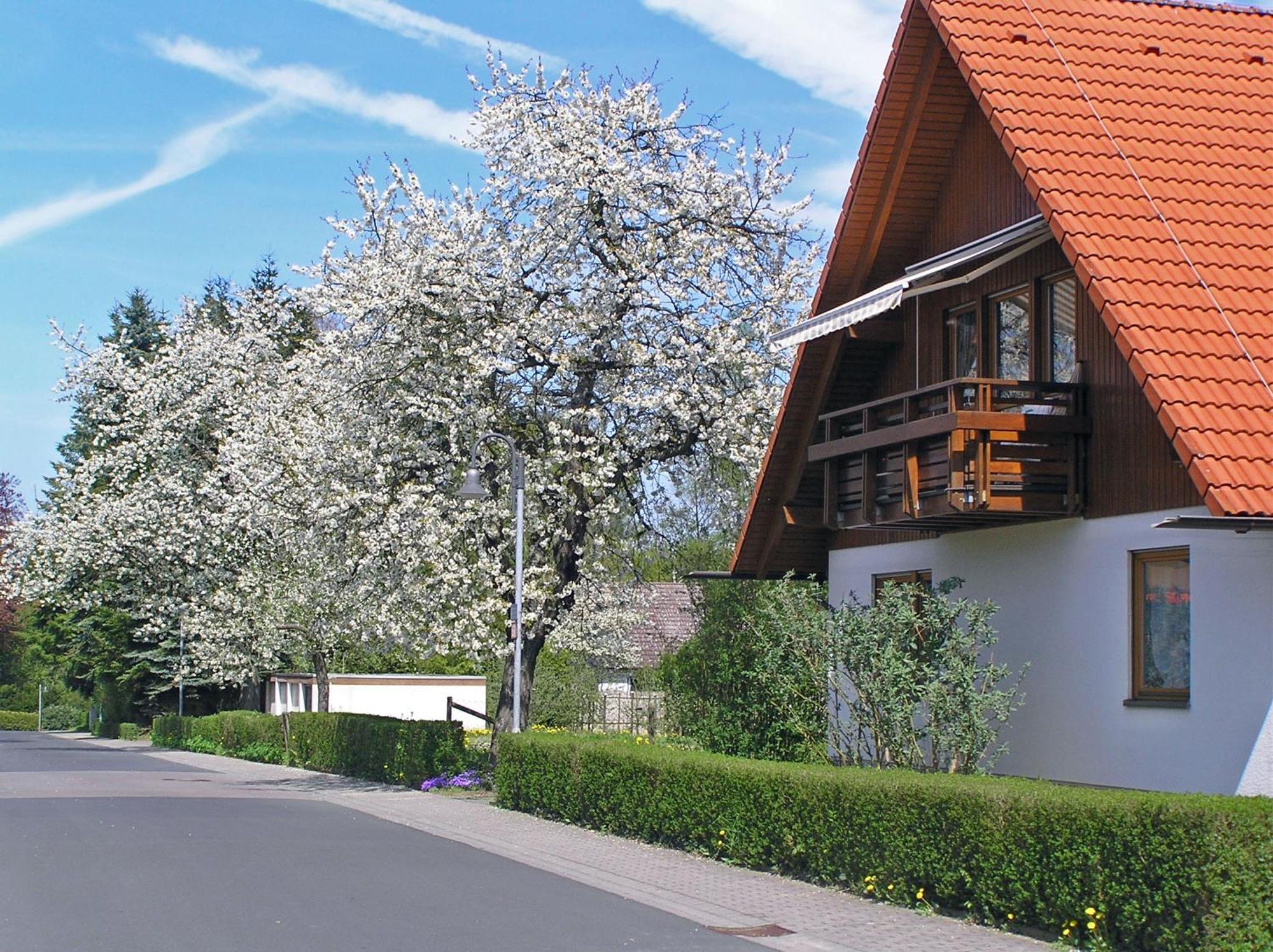 Ferienwohnung Am Schlosspark Schlitz Bagian luar foto
